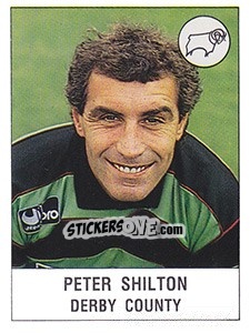 Cromo Peter Shilton - UK Football 1990-1991 - Panini