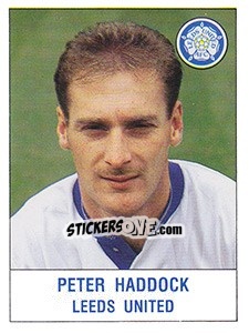 Sticker Peter Haddock - UK Football 1990-1991 n. 135 - Panini