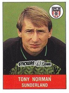 Cromo Tony Norman - UK Football 1990-1991 n. 301 - Panini