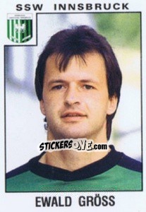 Sticker Ewald Gröss - Österreichische Fußball-Bundesliga 1984-1985 - Panini