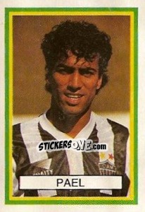 Sticker Pael - Campeonato Brasileiro 1993 n. 56 - Abril