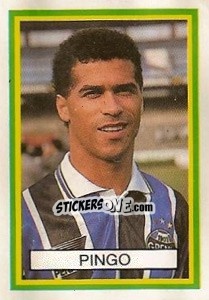 Sticker Pingo - Campeonato Brasileiro 1993 n. 101 - Abril