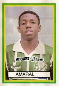 Sticker Amaral - Campeonato Brasileiro 1993 n. 156 - Abril