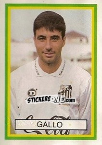 Sticker Gallo - Campeonato Brasileiro 1993 n. 218 - Abril