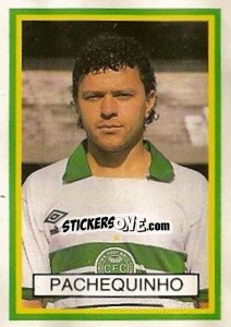 Sticker Pachequinho - Campeonato Brasileiro 1993 n. 233 - Abril