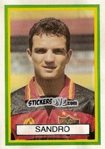 Sticker Sandro - Campeonato Brasileiro 1993 - Abril