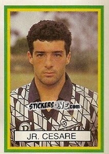 Sticker Junior - Campeonato Brasileiro 1993 n. 298 - Abril