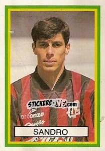 Sticker Sandro - Campeonato Brasileiro 1993 - Abril