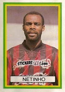 Sticker Netinho - Campeonato Brasileiro 1993 n. 376 - Abril