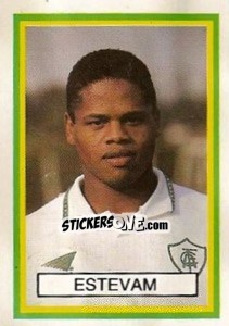 Sticker Estevam - Campeonato Brasileiro 1993 n. 421 - Abril