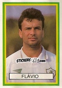 Sticker Flavio - Campeonato Brasileiro 1993 n. 427 - Abril