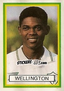 Sticker Wellington - Campeonato Brasileiro 1993 n. 435 - Abril