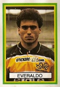 Sticker Everaldo - Campeonato Brasileiro 1993 n. 480 - Abril