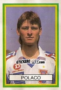Sticker Polaco - Campeonato Brasileiro 1993 n. 557 - Abril