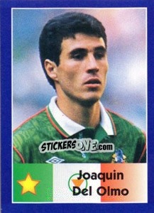 Sticker Joaquin Del Olmo - World Cup 1998 - Diamond