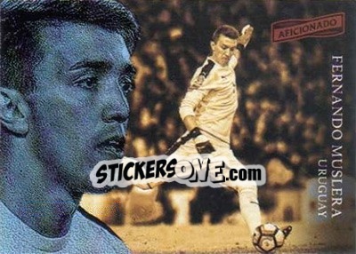 Sticker Fernando Muslera - Aficionado Soccer 2017 - Panini