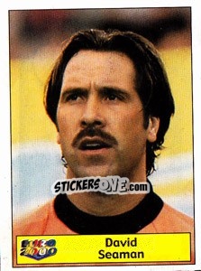 Cromo David Seaman - Star Publishing Euro 2000. European Football Championship - NO EDITOR