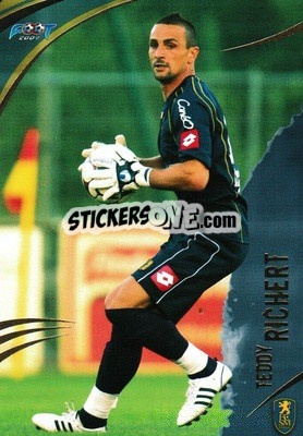Sticker Teddy Richert - FOOT 2008-2009 Trading Cards - Panini