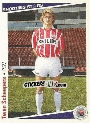 Cromo Twan Scheepers - Shooting Stars Holland 1991-1992 - Merlin