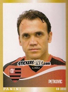 Sticker Petkovic - Campeonato Brasileiro 2010 - Panini