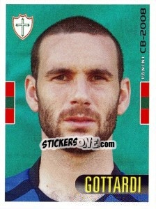 Sticker Gottardi - Campeonato Brasileiro 2008 n. 228 - Panini