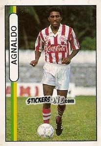 Sticker Agnaldo - Campeonato Brasileiro 1994 n. 425 - Abril