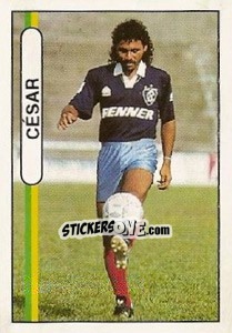 Sticker Cesar - Campeonato Brasileiro 1994 n. 446 - Abril