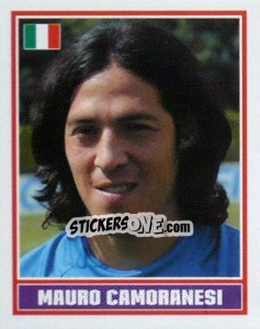 Cromo Mauro Camoranesi