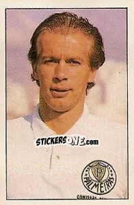 Sticker Leao - Campeonato Brasileiro 1989 n. 164 - Abril