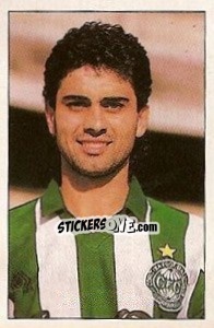 Sticker polaco - Campeonato Brasileiro 1989 n. 206 - Abril