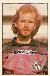 Cromo Sergio - Campeonato Brasileiro 1989 n. 225 - Abril