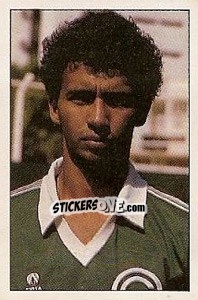 Sticker Wallace - Campeonato Brasileiro 1989 n. 355 - Abril