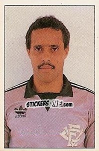 Cromo Borges - Campeonato Brasileiro 1989 n. 416 - Abril