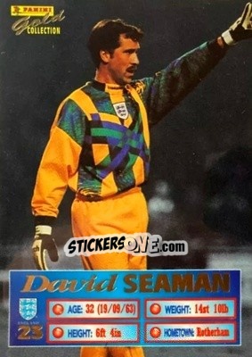 Cromo David Seaman - England Stars 1996 - Panini