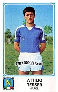 Sticker Attilio Tesser - Calciatori 1978-1979 n. 213 - Panini