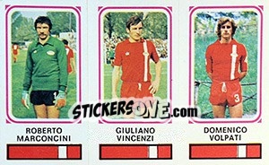 Sticker Roberto Masconcini / Giuliano Vincenzi / Domenico Volpati - Calciatori 1978-1979 n. 384 - Panini