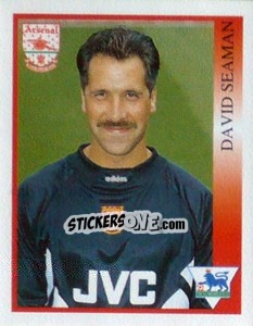 Figurina David Seaman - Premier League Inglese 1993-1994 - Merlin