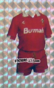 Cromo Swindon Town - Premier League Inglese 1993-1994 - Merlin