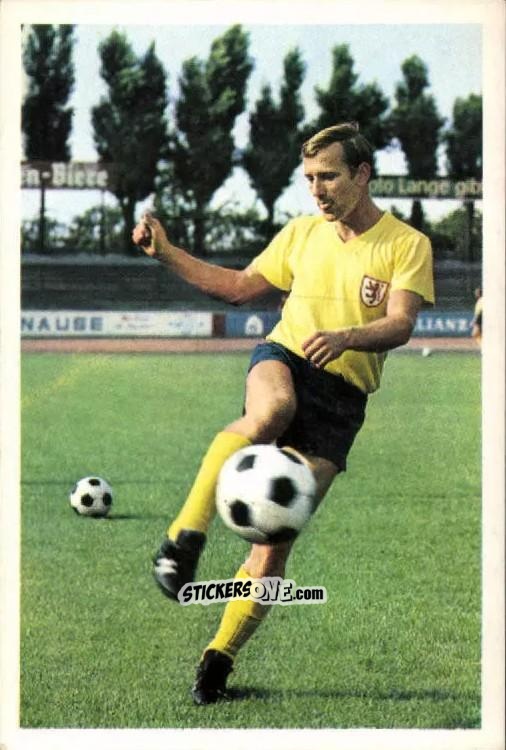Figurina Wolfgang Grzyb