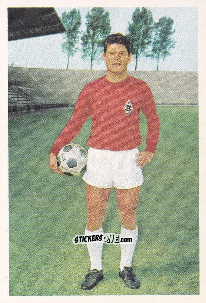 Figurina Heinz Wittmann