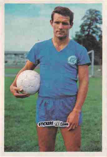 Cromo Horst Wild - Bundesliga 1965-1966 n. 217 - Bergmann