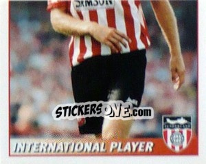 Sticker Niall Quinn (International Player - 2/2) - Premier League Inglese 1996-1997 - Merlin