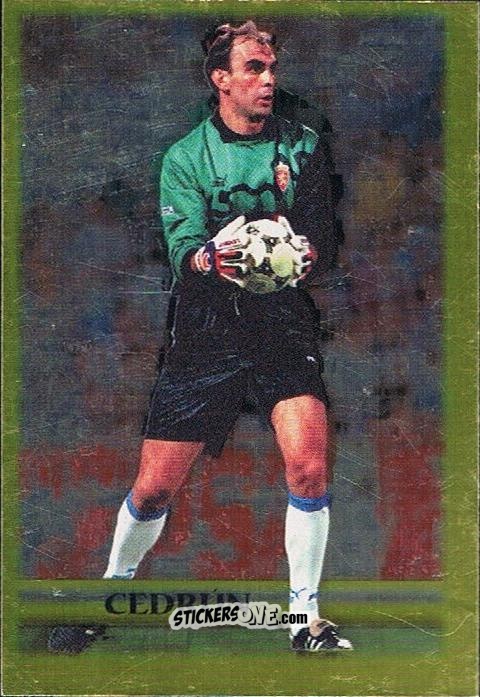 Figurina Cedrun - Top Liga 2001-2002 n. 176 - Mundicromo
