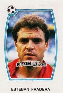 Figurina Esteban Fradera - Liga Spagnola 1992-1993 - Panini