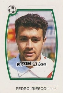 Figurina Pedro Riesco - Liga Spagnola 1992-1993 - Panini