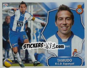Cromo Tamudo - Liga Spagnola 2008-2009 - Colecciones ESTE