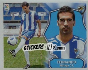 Cromo Fernando - Liga Spagnola 2008-2009 n. 242 - Colecciones ESTE