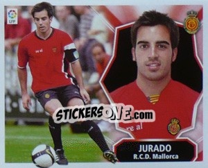 Sticker Jurado - Liga Spagnola 2008-2009 n. 262 - Colecciones ESTE