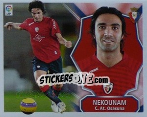 Cromo Nekounam - Liga Spagnola 2008-2009 - Colecciones ESTE