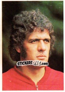 Sticker Wolfgang Fahrian - Unsere Fußballstars 1973-1974 n. 256 - Bergmann